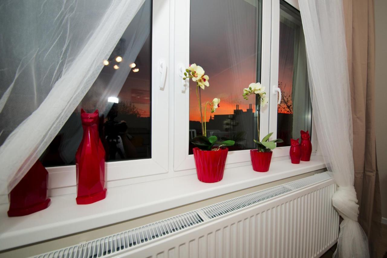 Kosciuszko Apartment *